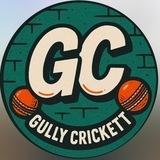 Gullycricket