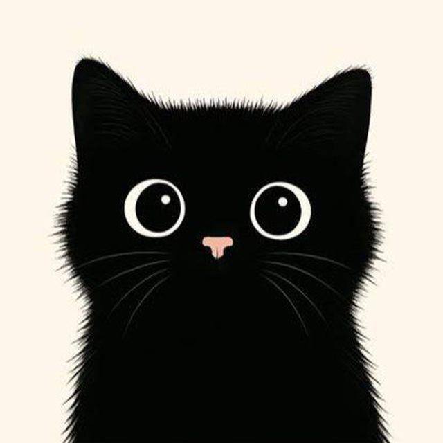 HNN BacKUP
