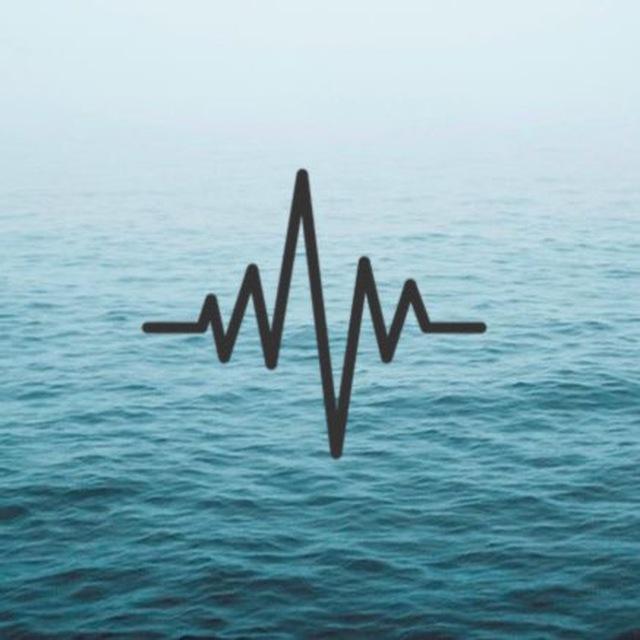 أناشيد 🎧