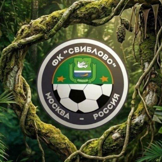 ФК СВИБЛОВО 2010