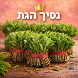 גת מיץ ראשון לציון