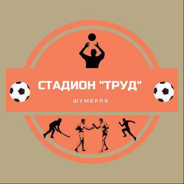 МАОУ ДО "СШ" г. Шумерля