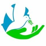 TIKIVAH-NEWS &CRYPTO