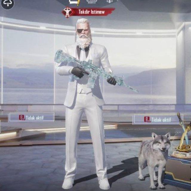 MYSBXXPQGITHA