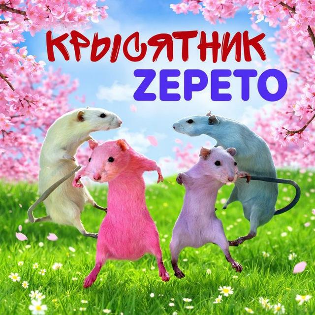 Крысятник ZEPETO