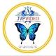 មេអំបៅខៀវ JVP