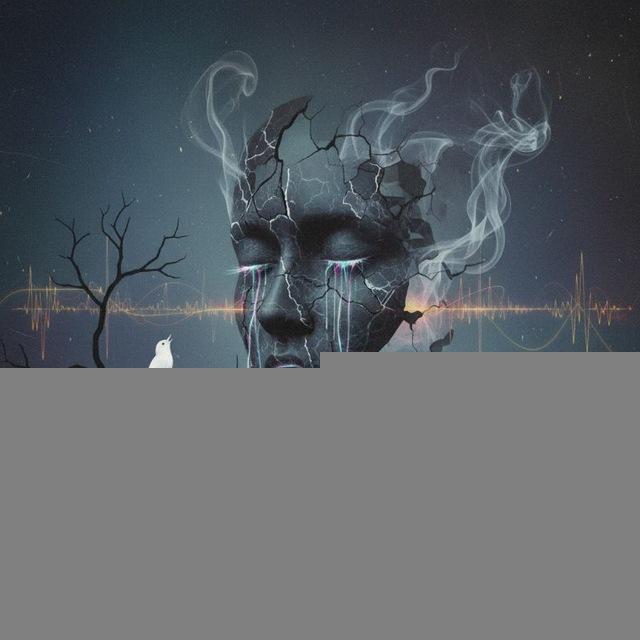 فریاد سکوت