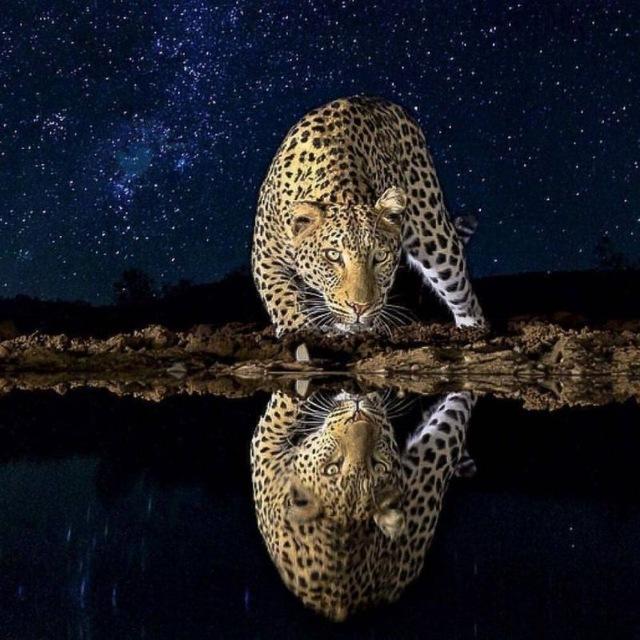 تحلیل آنلاین