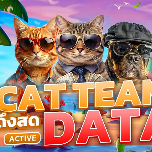 DATA สายเทา 2025 🖥📲 ดาต้าสายเทา ฐานข้อมูล SEO การตลาดสายเทา 🙏🏼