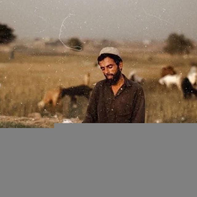 هبسطـــــــــهالك ✨🤎