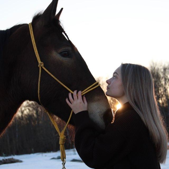 🌾𝐸𝓎&𝒮𝑜🐴