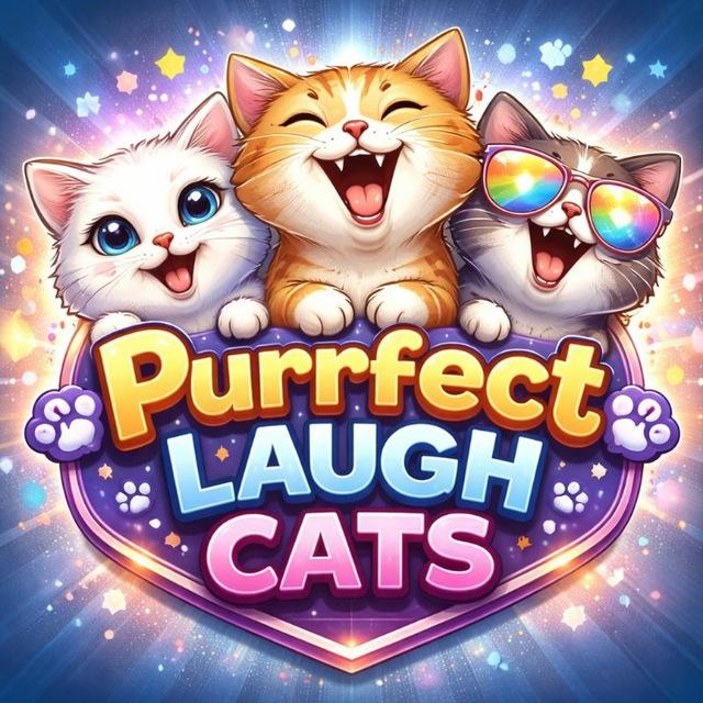 Purrfect Laugh Cats