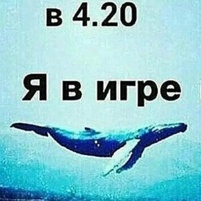 Синий кит.