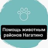 Животные в НАГАТИНО, потеряшки и помощь ЮАО, Нагатинский затон, Нагатино-Садовники (ранее чат Хвостик в беде)