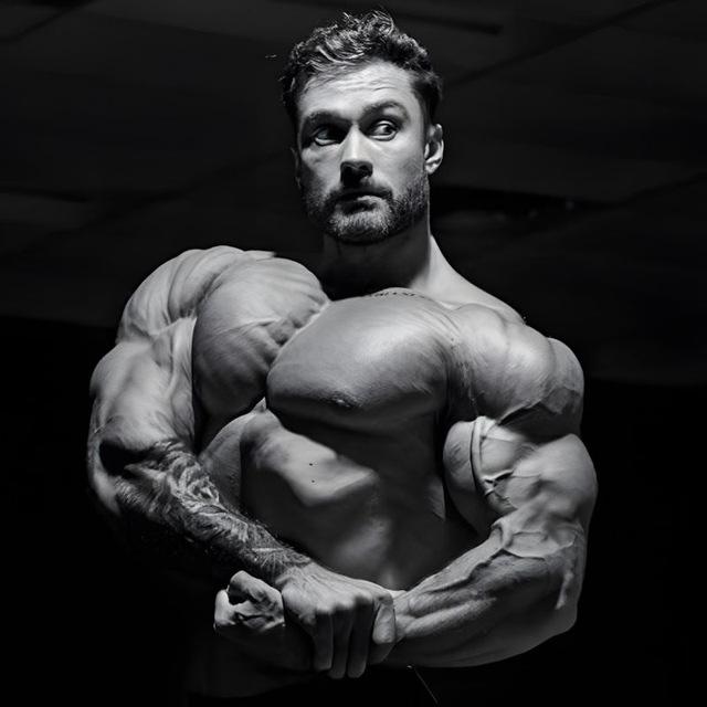 🦾 Muscle Perfection 🦾