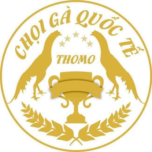TRƯỜNG GÀ THOMO CPC