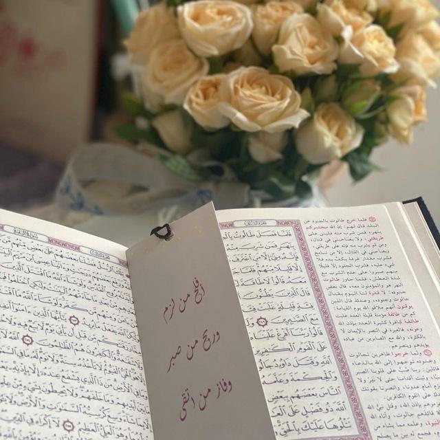 قبس
