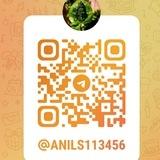 Anil 113456 official..