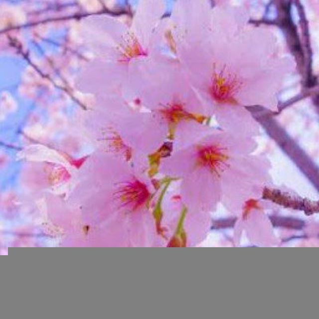 مَا يؤنسُ الروحَ سَلاماً.💞