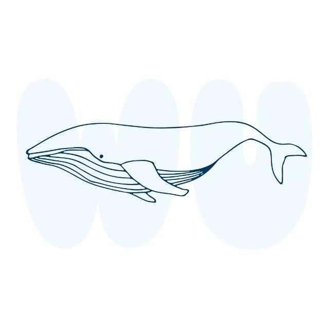 Whale Up Трекер привычек