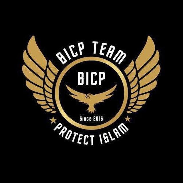 BICP Update