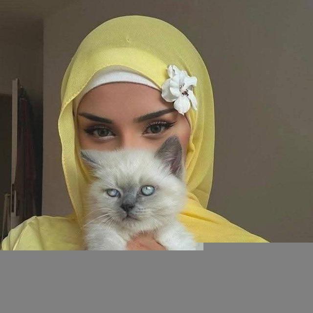 استثمار وتداول ارباح فلوس •