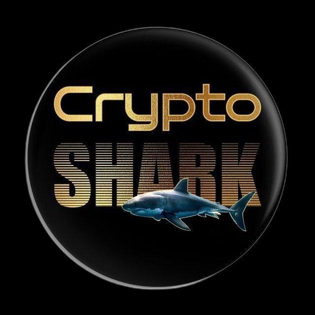CRYPTO SHARK 🐳