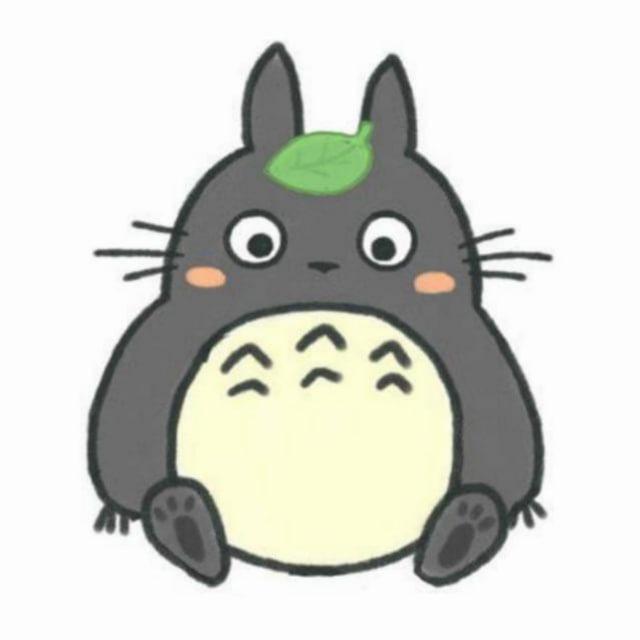 😺龙猫Dy通知😺