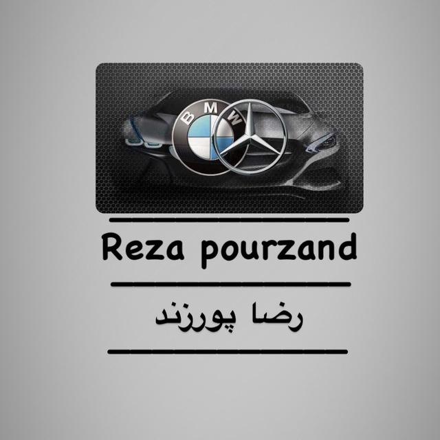 رضا پورزند