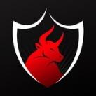 Booming Bulls Academy