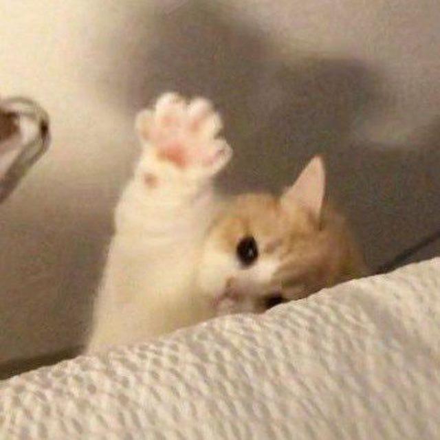 𝐃 𝐒 の 信 誉 库