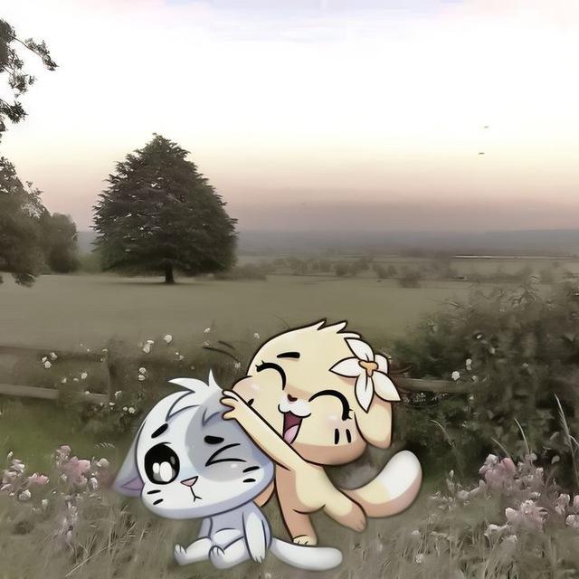 люблю