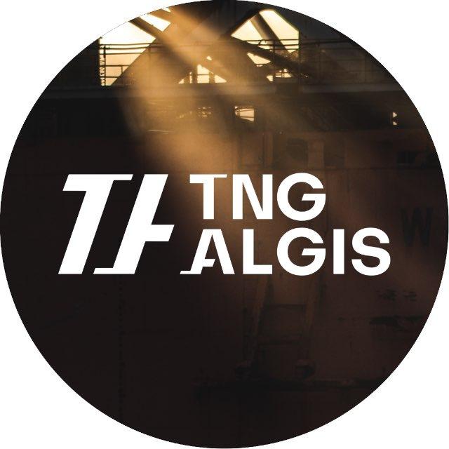 ТНГ-АлГИС