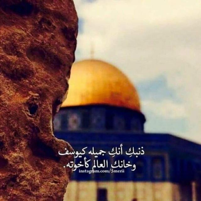 ✨الحمدلله ✨
