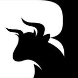 BULLS FOREX ACADEMY