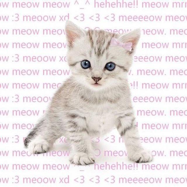 OPEN SETOR CH OLD! 💐⋆˙⟡♡