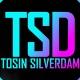 Tosin Silverdam Blog Channel