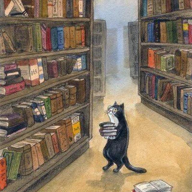 مكتبة النواهـــل. 🩵.