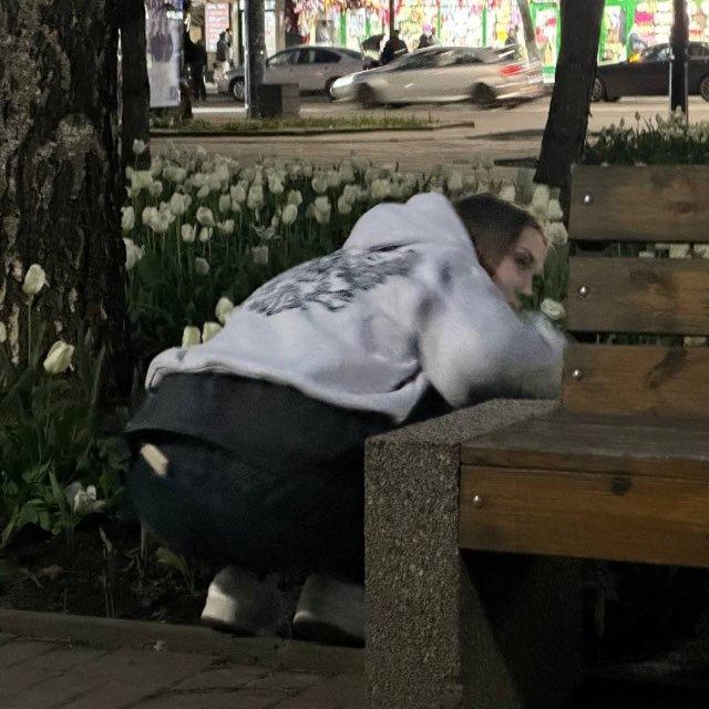 lipenkova