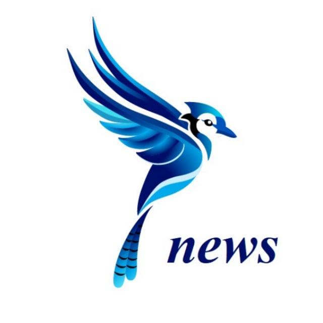 SoykaSoft | оцифровка бизнеса для селлеров 🐦