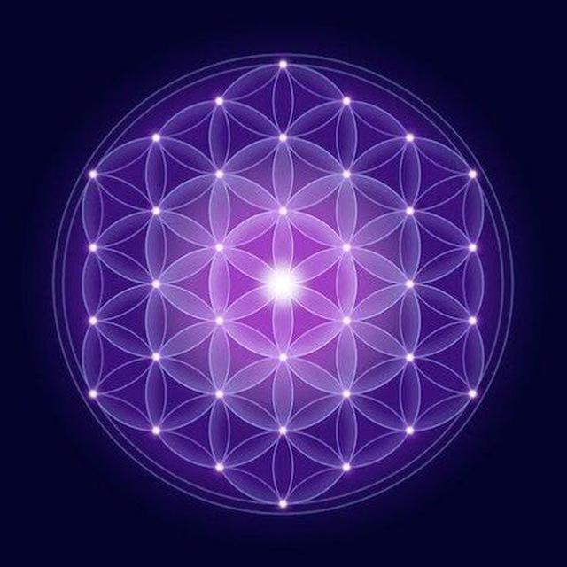The Awakened Species ☀️