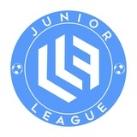 LLF KIDS ⚽️