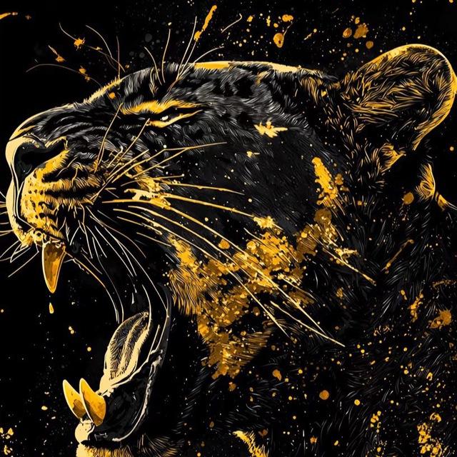黑豹哥🐆一手精准数据库-招代理