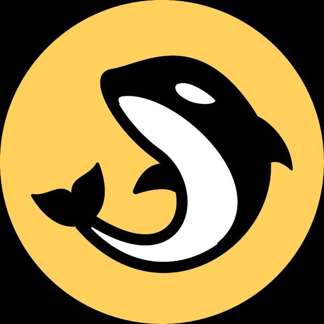CRYPTO NEWS