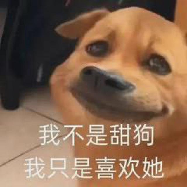 深圳800神教工兵榜