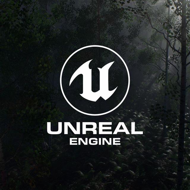Unreal Engine 4/5