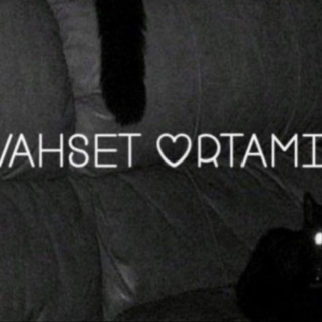 VAHŞET ORTAMI🔞