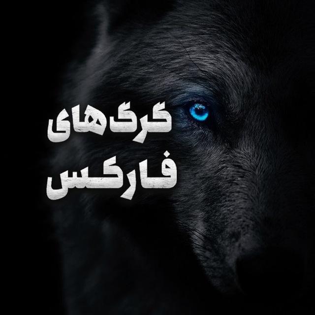 💰آموزش درآمد دلاری گرگ های فارکسی💰
