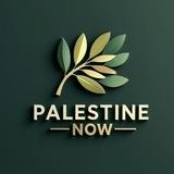 🔻PALESTINE NOW🔻