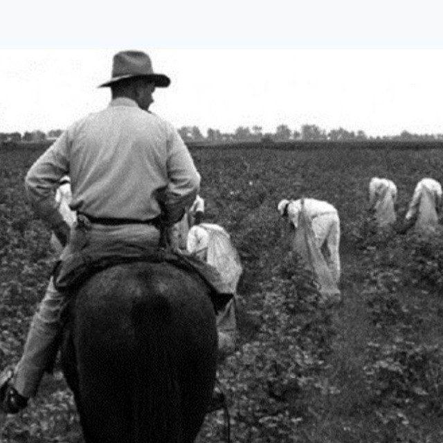 Doctors Farm قلعه پزشکان